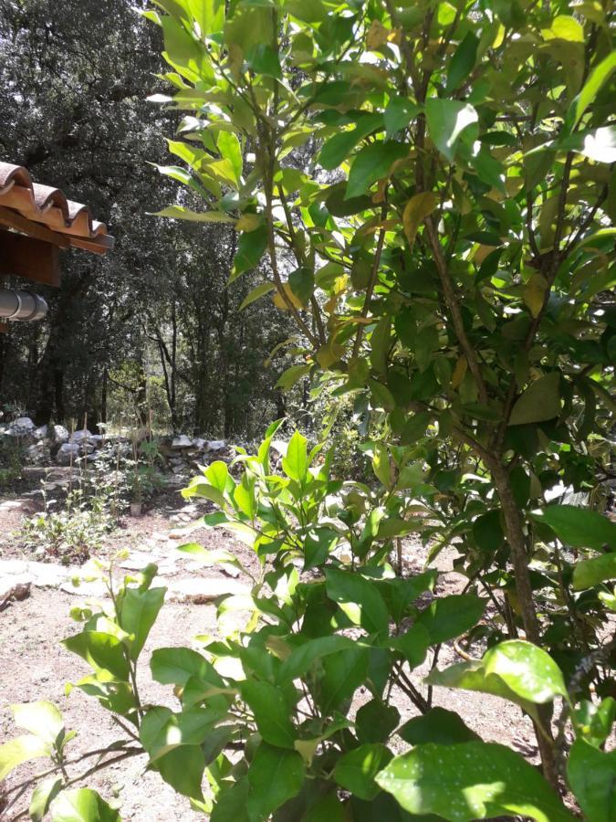 Casa Hozani Villa Albarrol Kültér fotó